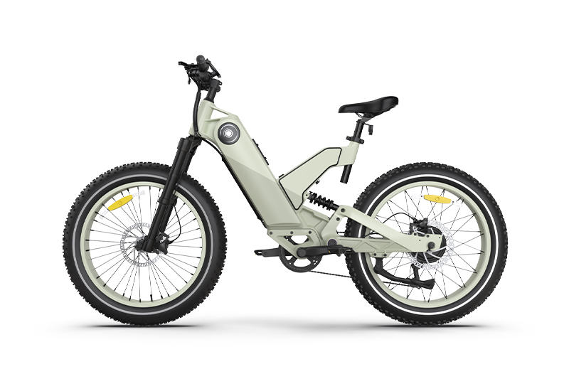 Fat tire electric bike